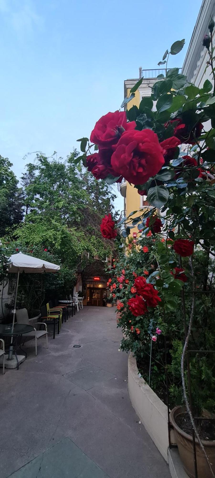 Casa Michelangelo Hotel Bucureşti Exterior foto